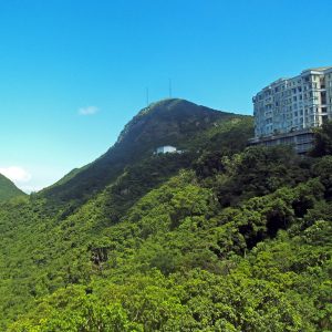 Victoria Peak overlooking the Hong Kong skyline and Victoria Harbour