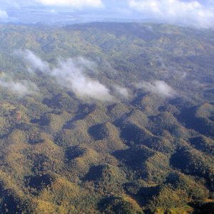 The Chocolate Hills of Bohol, Philippines, under a blue sky